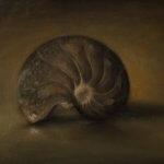 Nautilus Fossil by Miguel Angel Garnica