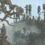 Old Pinetrees